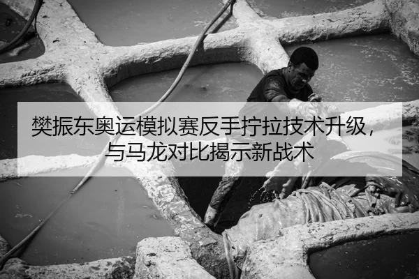 fan-zhen-dong-ao-yun-mo-ni-sai-fan-shou-ning-la-ji-shu-sheng-ji-yu-ma-long-dui-bi-jie-shi-xin-zhan-shu-3-364.jpg