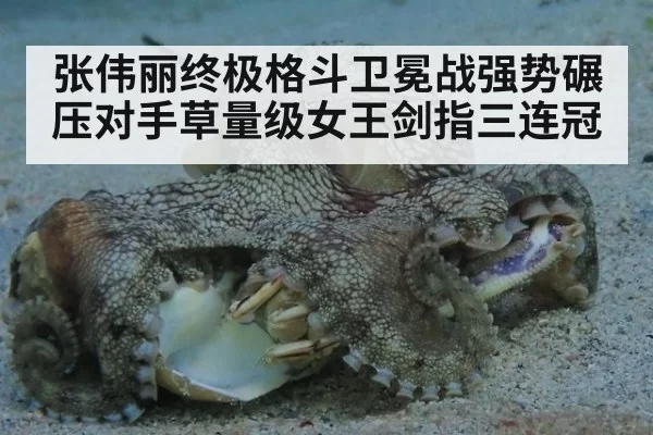 张伟丽终极格斗卫冕战强势碾压对手草量级女王剑指三连冠